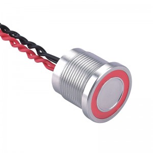 PS193P10YSS1/L